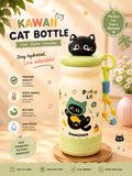 Cat Toy Bottles